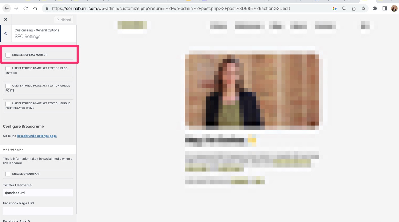 Read more about the article How to remove autogenerated OceanWP schema from WordPress